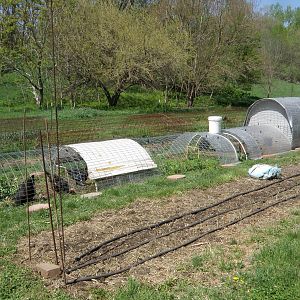 Coop and five run sections including watering and feeding section