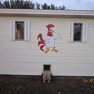 This is our new chicken coop. It has man door on the left side.