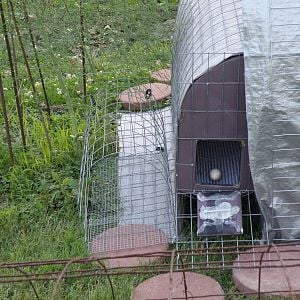 Nest box attached to coop with exterior door open