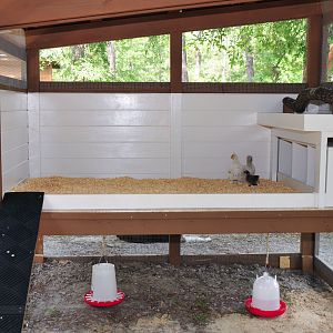 The chicken stage all finished with temporary feeders.