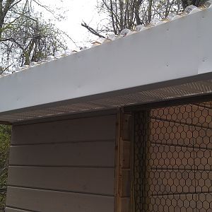 Added white metal around the top of the roof to keep out the birds. There is vented material underneath it.