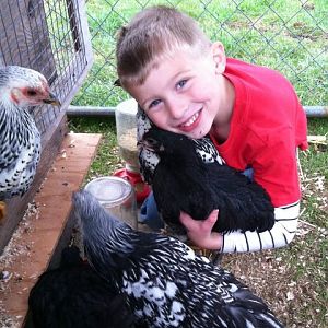 Our son Xander with his pet chicken, Penny.