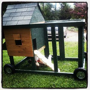 My chicken tractor that my sweet husband built for me.