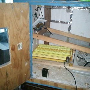 I'm not really sure where to put my thermostat or fan, but this is what I have so far. Heating element and light-bulb are at the top.