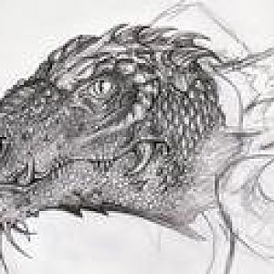 Unfinished

Pencil scketch dragon in progress..
