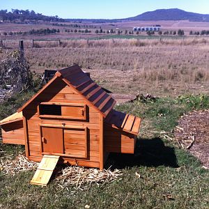 The coop next to the vege patch.