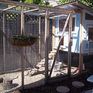 My coop is finally ready!! Boy did I work my butt off getting this set up!