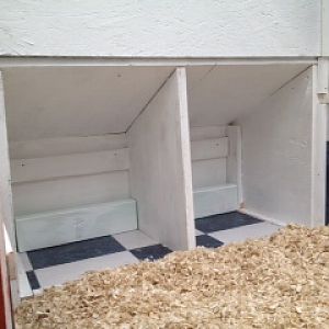 These are the nesting boxes as viewed from the inside of the coop (now covered with bedding).  Our adolescent hens actually dogpile in there when they sleep at night!