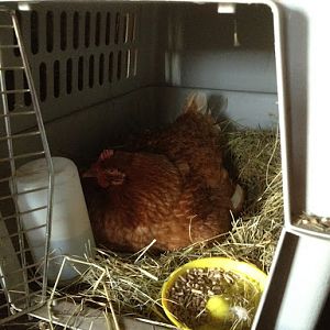 Mom in her birthing suite.