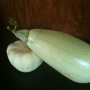 Lebanese and Scalloped squash I picked this past week.