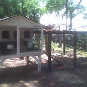 My chicken coop and yard, "N.A.S. Apopka"