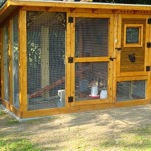 My built this beautiful coop for me I love it