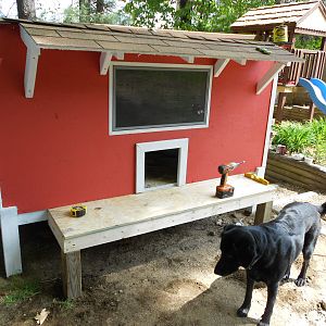 this is picture of my coop not quite finished yet....