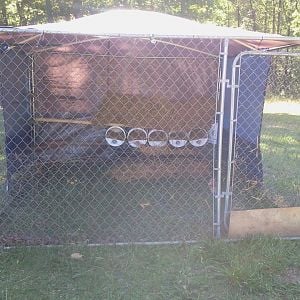Dog kennel, pvc piped roof structure, tarp, 1 2X4 and several small pieces of wood, 5 gallon buckets, water front.  Nothing on the ground.  Two people can pick the front edge to drag the coop to a new area.  MOBILE CHICKEN COOP.