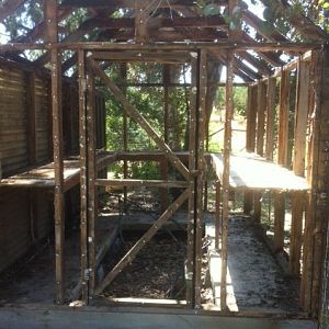 Old Greenhouse / future coop