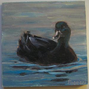 Black duck painting (work in progress)