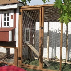 The Lancaster Chicken Coop which has a clean out drawer, perches, easy egg retrieval box, and large chicken run access. Super Sweet Coop

www.uppervalleybuilders.biz
