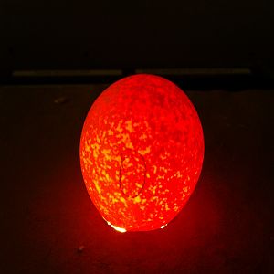 egg