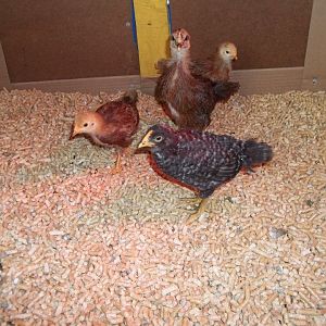 smile for the camera!