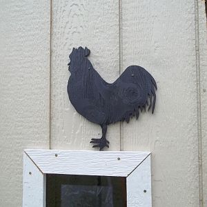 This is my rooster :) haha
