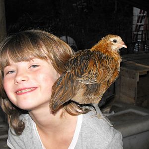 Vanah & her hand raised chick Indiana