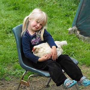 Gracie and her Araucana