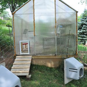 Extreme Chicken Home Makeover!

The greenhouse has made a fabulous chicken coop with the added back "chickie door" and homemade screen door front ($2.25 in furring strips and scrapes).
