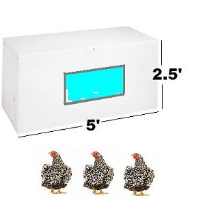 Chest Freezer chicken coop