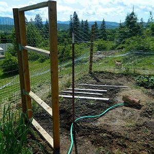 We built a gate and fence with chicken wire inside the deer fencing to divide the veggies from the inside chicken run. The A-frame coop is to my right.