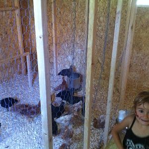 This is the inside of my chicken coop with my proud daughter.