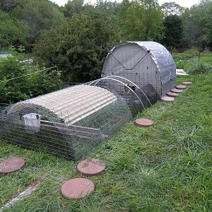 Coop , watering station, feeding station with end section made with a 2x5'' vertical end piece with an 88"x14" predator guard attached