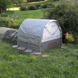 New chicks coop, watering and feeding station