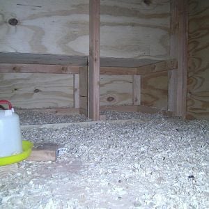 inside the hen house --view of nest boxes