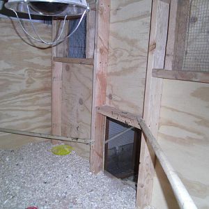 the view from side door leading to inside the coop from the hen house