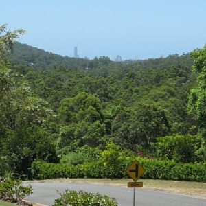 A glimpse of Surfers Paradise from our front yard in the Gold Coast Hinterlands.