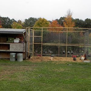 Our coop with run and rabbit hutch on front