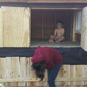 oh gosh..why are they tilted.. ok.. well here is my son modeling the interior coop.. and 13 yr old daughter helping to shingle it.