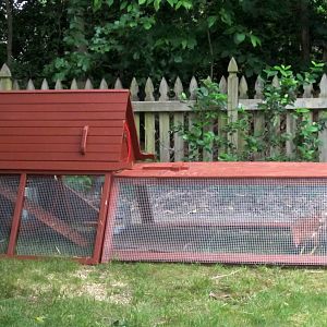 The Ark Coop and separate run pushed together.