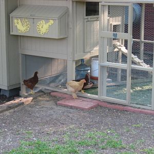 Mr. Gibbs, Reba, and Big Red