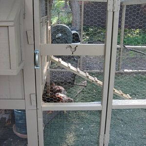 Entrance to Coop