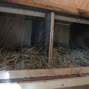 Nesting boxes