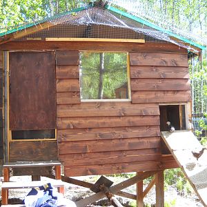 Coop Front View, window is quadruple pane glass, eves are hardware cloth, there's a vent screen in the bottom of the man hatch, and a vent screen in the chicken door, it's roughly 4 foot by 8 foot, formerly a children's playhouse.