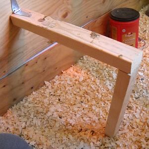 Roost Design
