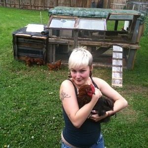 My daughter holding a rooster. That's the beginning of our coop in the background. Need to finish the roof and do some siding with old barn wood. It's all reclaimed/recycled materials with the exception of the wire, screws, feed and water dispensers, and two 4x4s.