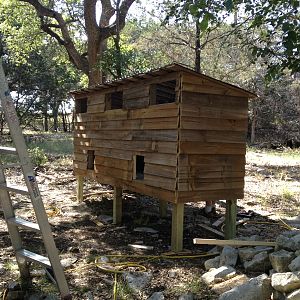 The coop mostly finished with wood from our old fence