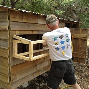 Adding the nesting boxes