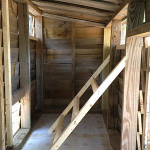 Inside the coop--the roosting area