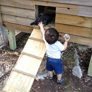 Z getting to pet Attila!