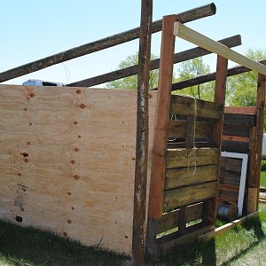 We started this coop out with 4 pallets to frame it out. Then we added tamarack poles for the base of the roof and some 2 x 4s to create more structural support.