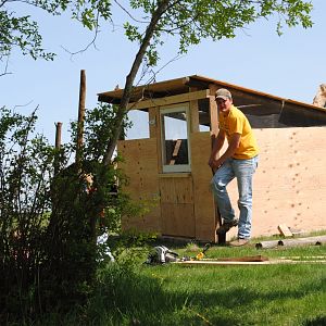 This is the hubby putting on one of the last pieces of plywood on the coop. We have hardware cloth covering the openings on the top of the coop and we later cut out more plywood pieces to fit the openings to close the coop up with hinges and latches when it gets cooler.